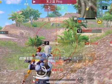 和平精英不封号全功能免费挂 - 稳定流畅不卡顿